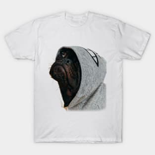 Cute Dog in a hoodie T-Shirt